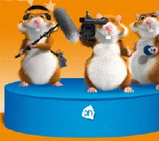 Lege schappen AH door Hamsterweken