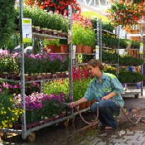 CC Container Centralen