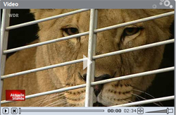 Dieven stelen truck met leeuw