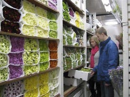 Nieuwe technologie nodig in Agrologistiek