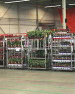 FloraHolland weg uit Venlo