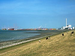 Westerschelde