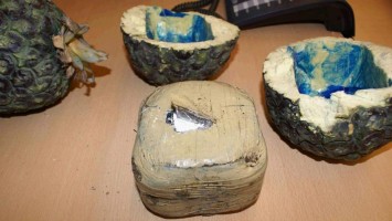 Transporteur vindt 500 kilo coke in ananassen