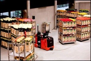Plantion AGV's