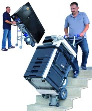 Aarnoudse trappenklimmer