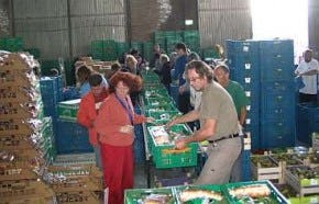 Mondea gaat logistiek voedselbank verbeteren