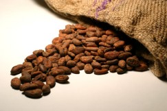 De Brit Anthony Ward heeft maar liefst vijftien procent van de wereldvoorraad cacao opgekocht