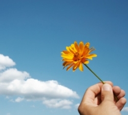 Geba Trans gaat CO2-neutraal transporteren