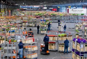 FloraHolland