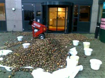 Uien bij tln