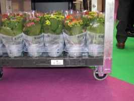 Container centralen komt met geluidsarme transportmiddelen