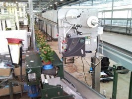 Zetes potplanten etikettering