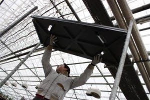 CC Container met kunststof planken