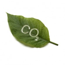 Hergebruik netwerkapparatuur vermindert CO2-uitstoot