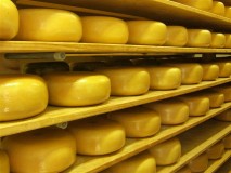 Kaasdistributeur Vergeer Holland is onlangs gestart met de implementatie van een nieuwe WMS-oplossing van IBS