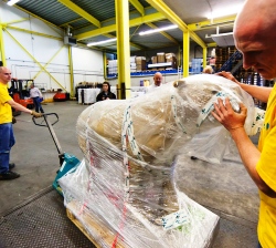 DL Logistics Naturalis