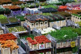 Met twintig procent minder vrachtwagenkilometers kunnen we net zo veel agrofood-producten vervoeren, zegt Arjen Simons, onderzoeker van Wageningen UR Food & Biobased Research.