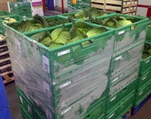 De Auchan Group, een grote Franse supermarktketen, gaat radio frequency identification (RFID) gebruiken voor het track en trace proces van 1,8 miljoen herbruikbare, plastic kratten