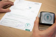 Fytosanitair exportcertificaat