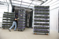 Rolcontainerleverancier Container Centralen (CC) wil een permanente klantenraad in het leven roepen die het bedrijf van adviezen voorziet omtrent het CC Pool Systeem van Deense karren. 