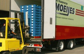 moeijes kiest erp van nachon