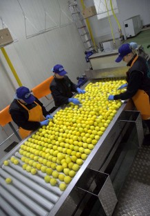 varekamp cold stores 2