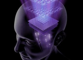 ElectronicPartner investeert in Business Intelligence