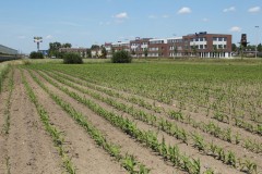 Het is niet langer vanzelfsprekend dat de campus van Dinalog wordt gehuisvest in het Rithmeesterpark in Breda, de nu nog braakliggende wig tussen de A16 en Princenhage, tegenover het Van der Valkhotel