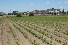 Het is niet langer vanzelfsprekend dat de campus van Dinalog wordt gehuisvest in het Rithmeesterpark in Breda, de nu nog braakliggende wig tussen de A16 en Princenhage, tegenover het Van der Valkhotel