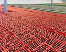 Supermarktconcern C1000 opent tijdelijk zijn voormalige distributiecentrum in Eindhoven voor de grootscheepse weekactie: drie halen, twee betalen’ van alle A-merk kratten bier. C1000 verwacht dat er d