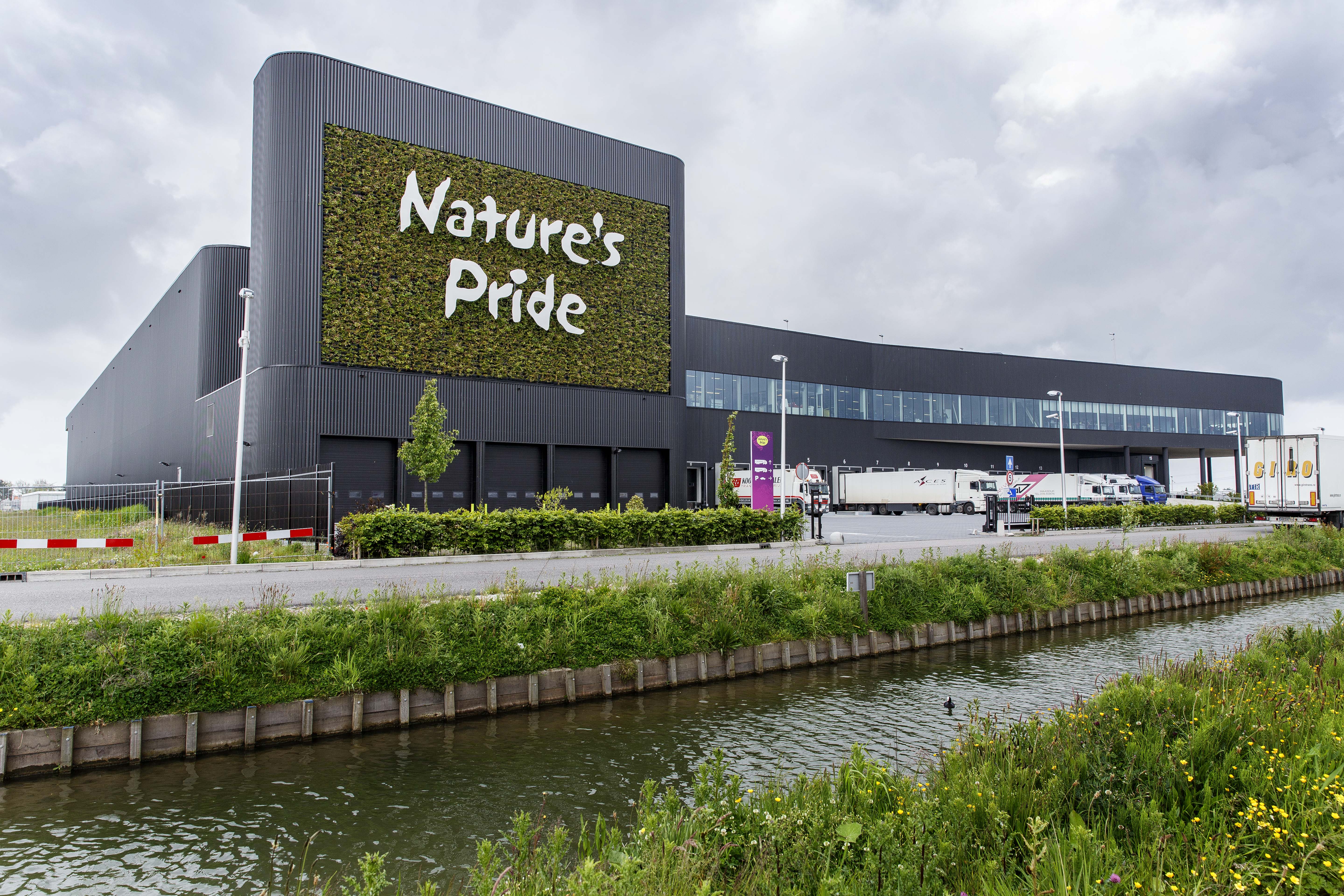 (c) Roel Dijkstra / Foto: Joep van der Pal



Maasdijk - Nature's Pride