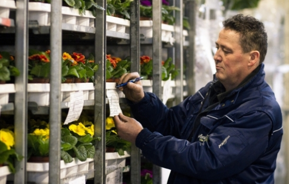 Het 4C Spring Platform moet de regionale daghandel in Noord-Limburg efficiënter, duurzamer en slimmer maken door ladingstromen te combineren.  Tien sierteeltkwekers en twee logistiek dienstverleners -Van Zaal Transport en Mercuur- zien brood in dit project.