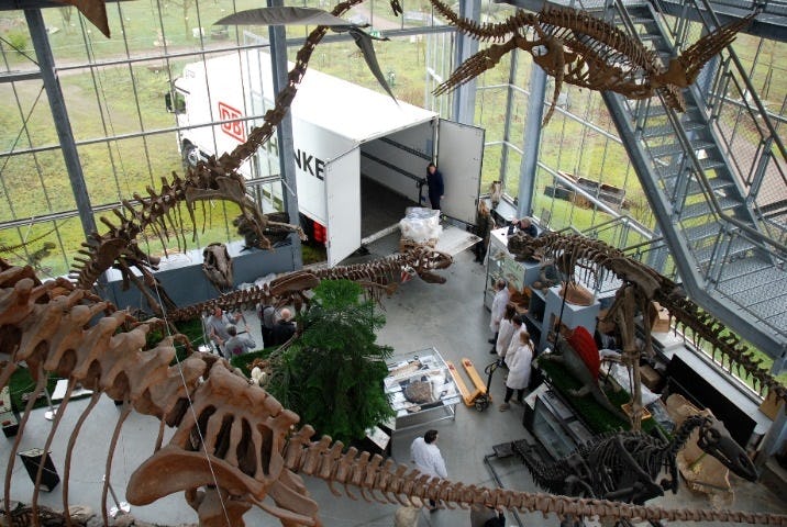 DB Schenker levert dinoskelet af in Oertijdmuseum in Boxtel