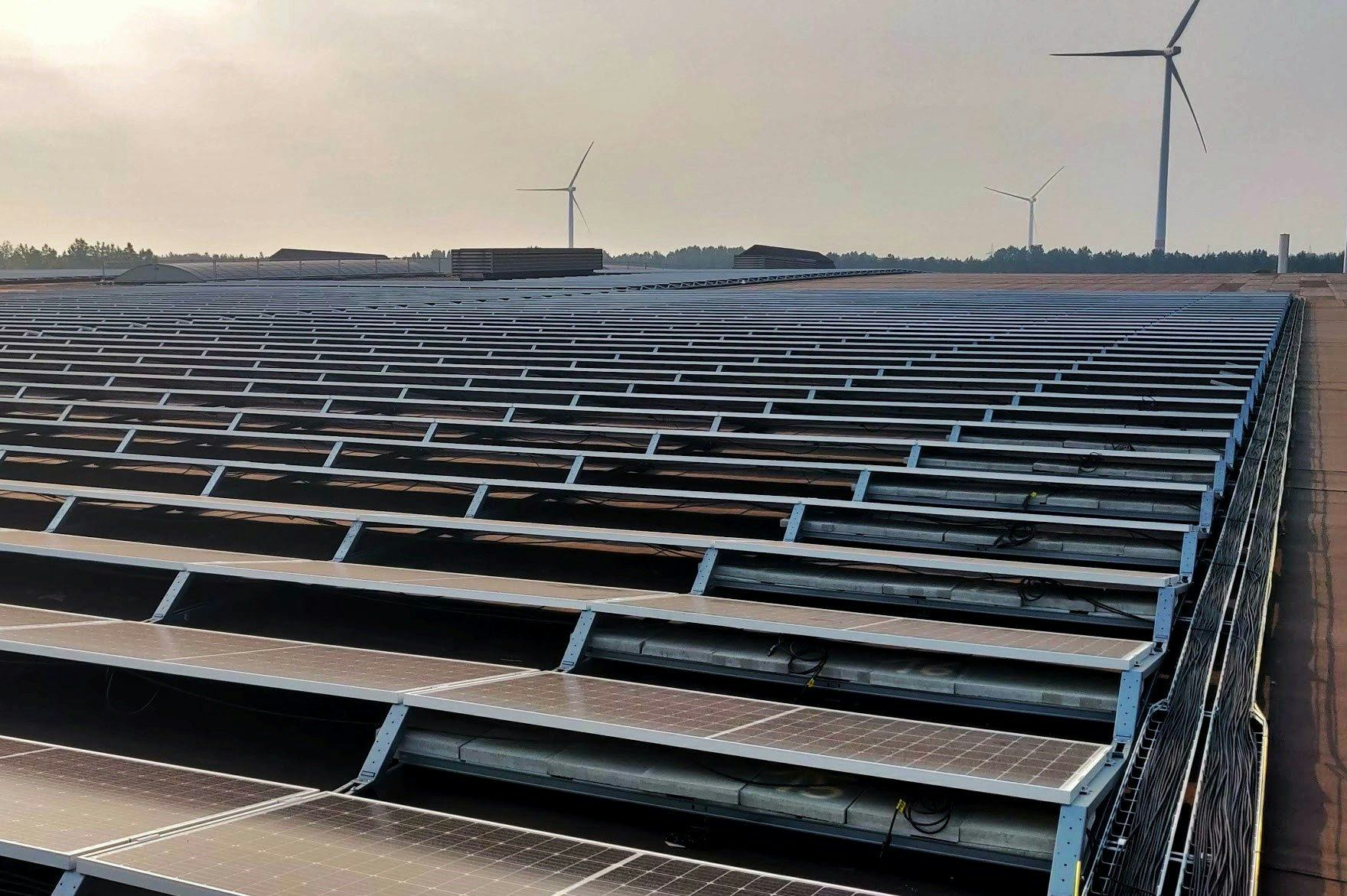 Zonnepanelen op uw dak: huren, leasen of kopen?