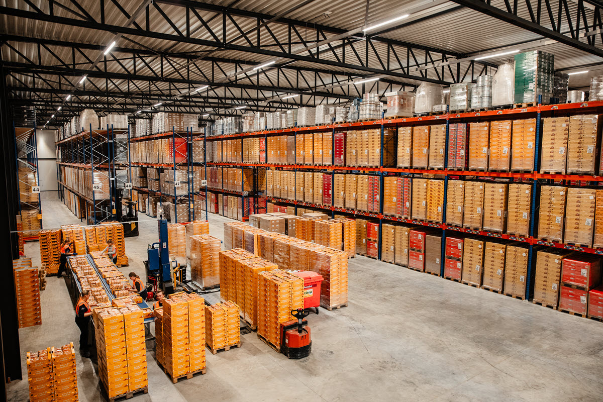 Curfs Logistics stapt over op een maatwerk WMS