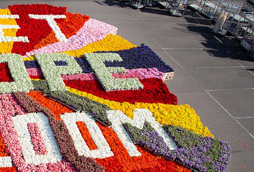 Dutch Flower Group (DFG) verruilt 20 jaar oud bedrijfssysteem voor nieuw cloud ERP.