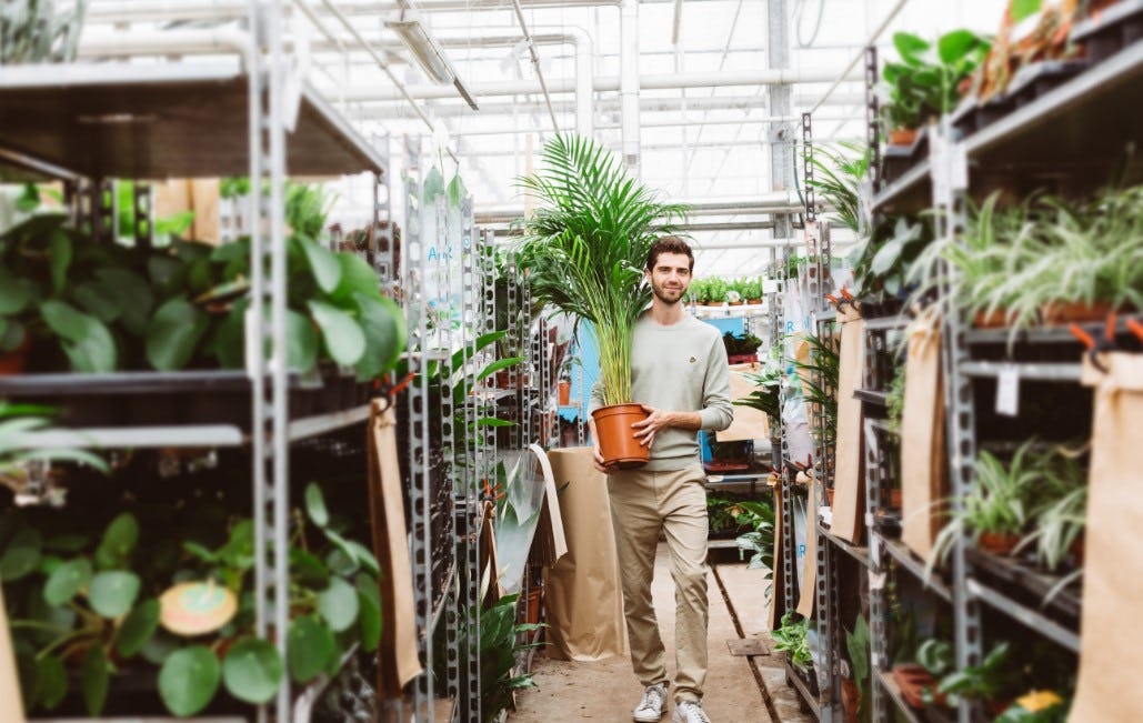 Plantsome: "We maken het klanten makkelijker om planten in huis te halen."