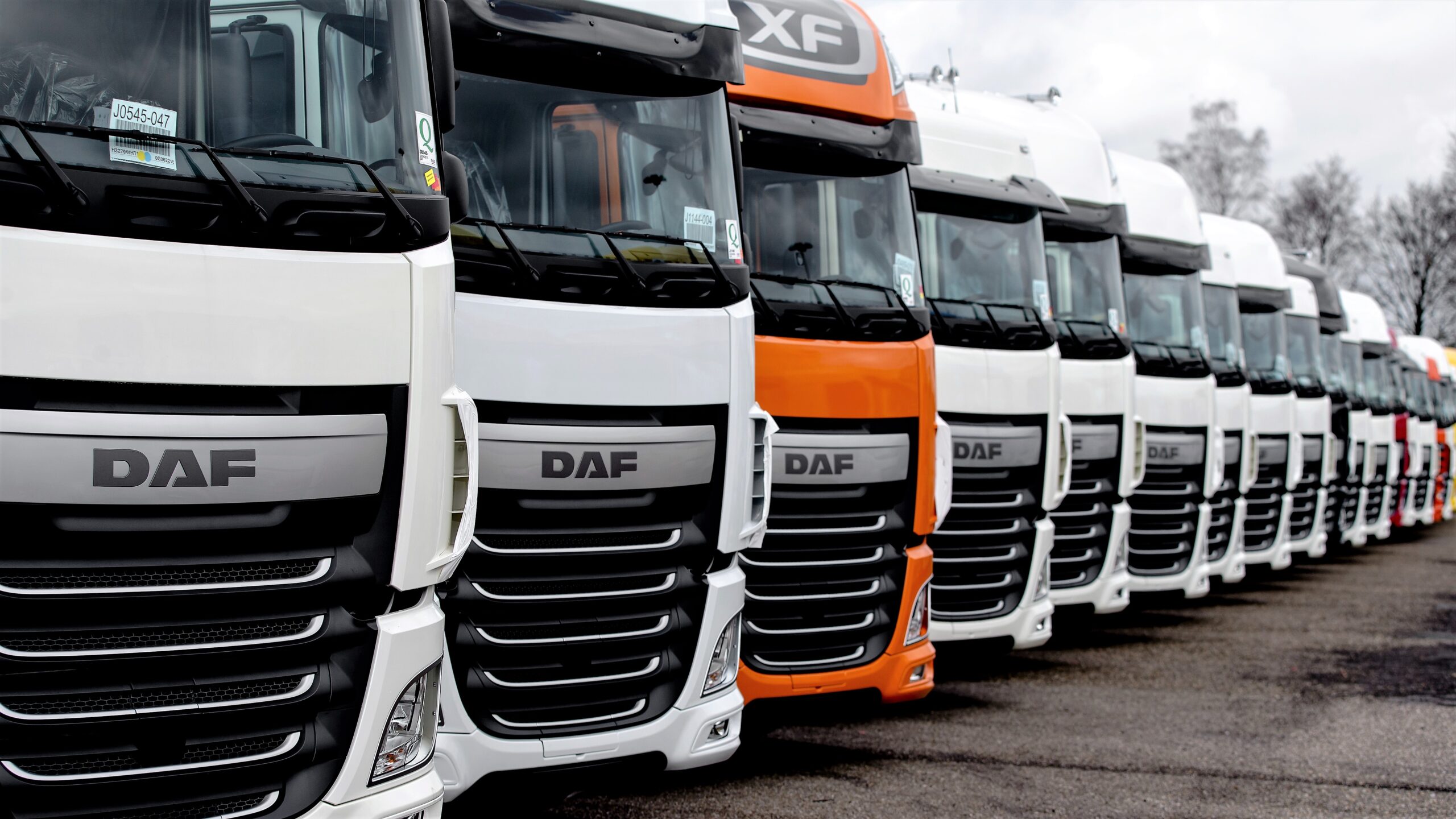 (foto: ANP Sander Koning)