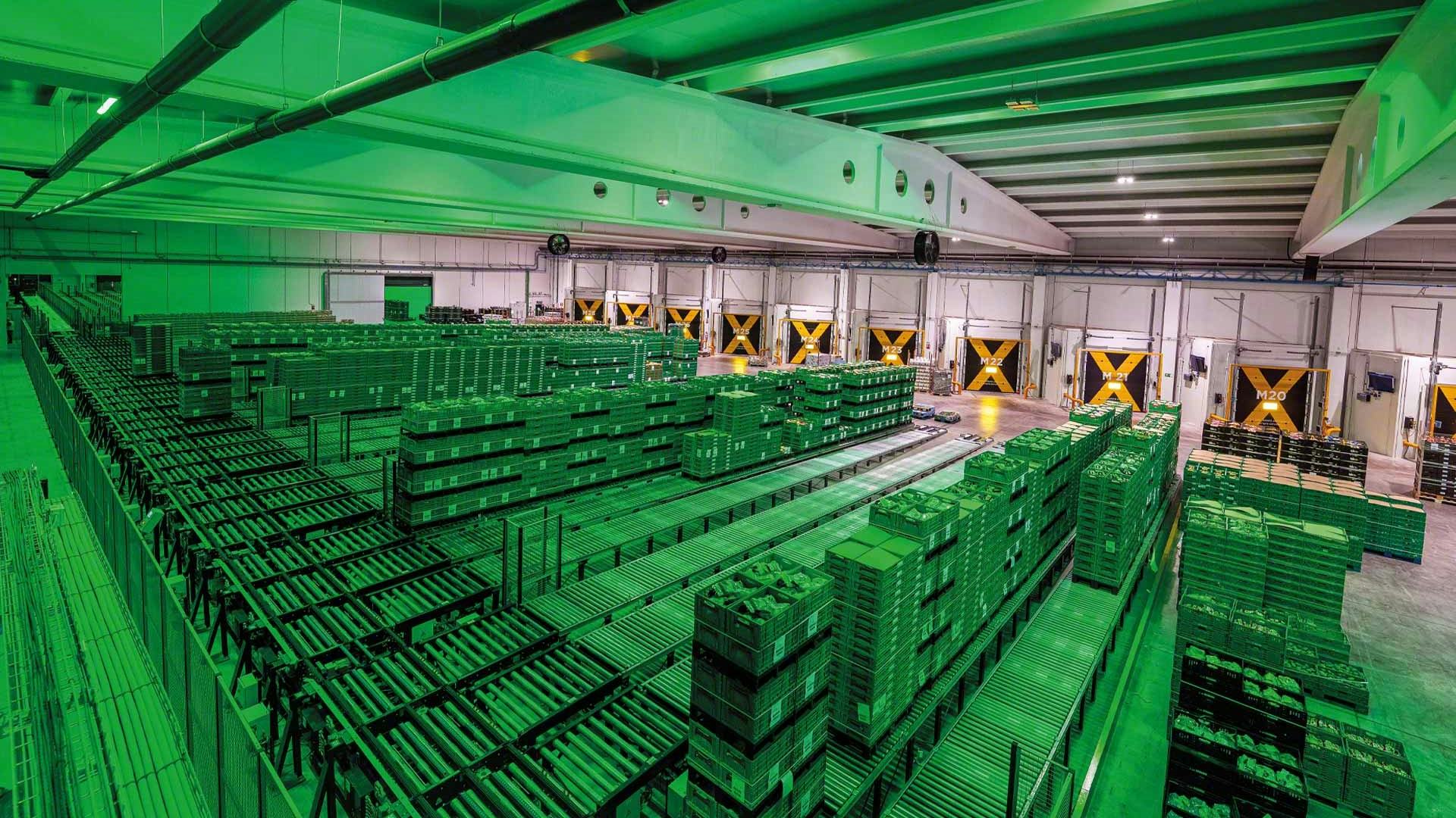 'Groene' patatfabrikant moderniseert productie en logistiek