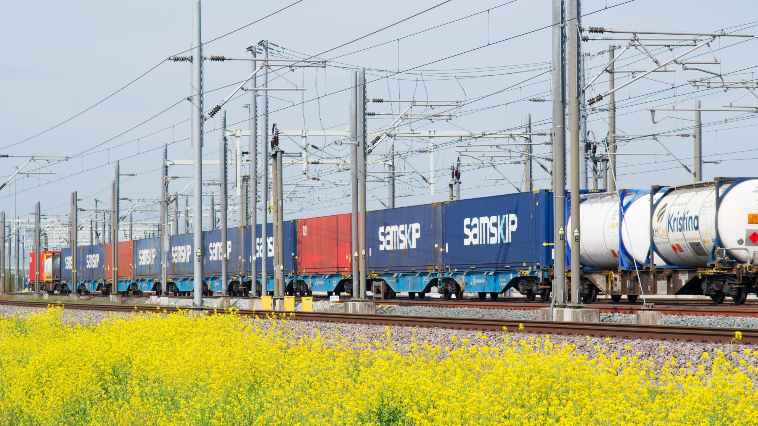 Foto: Marcel Rommens / Shutterstock