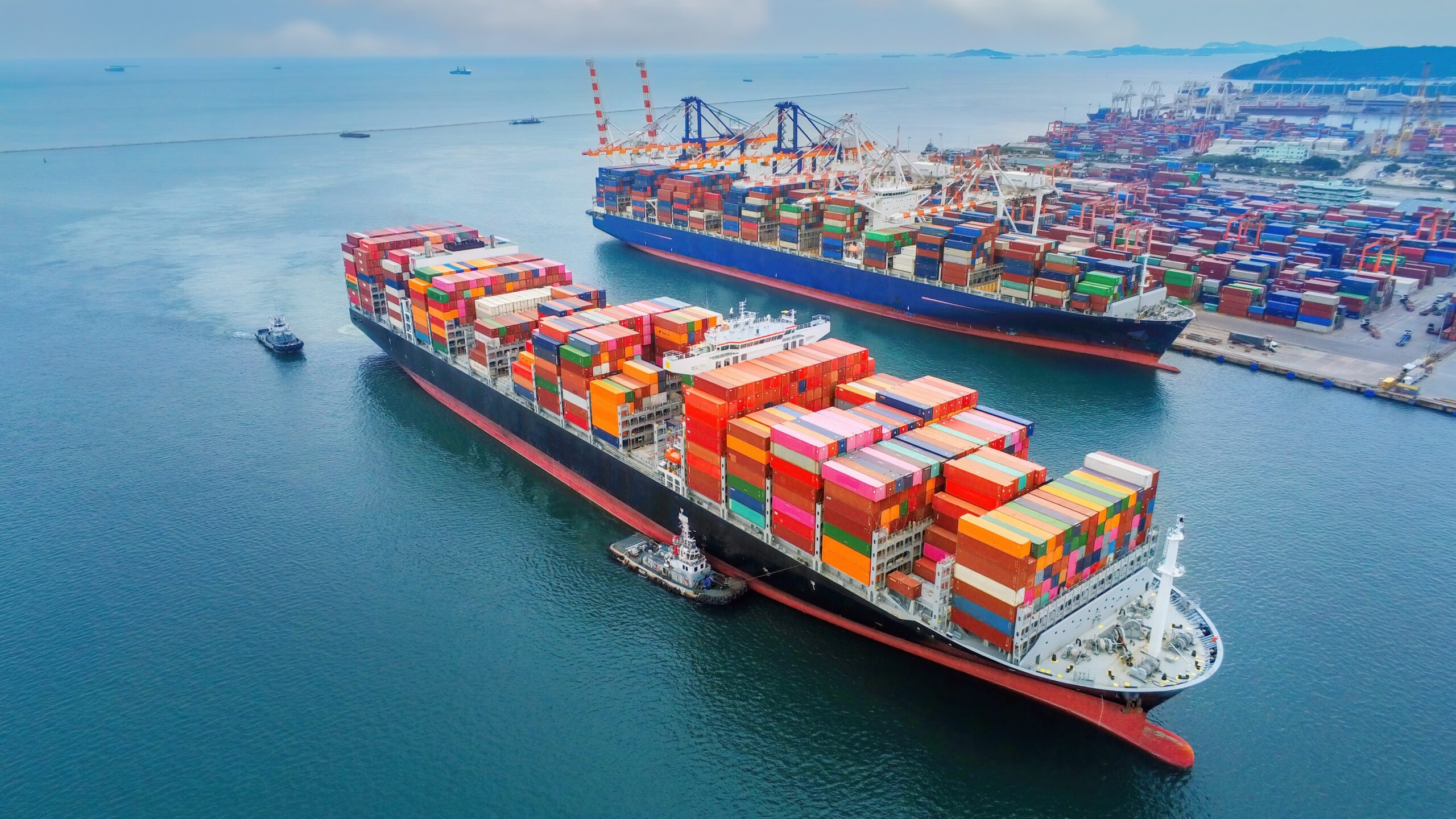 Foto: APChanel / Shutterstock