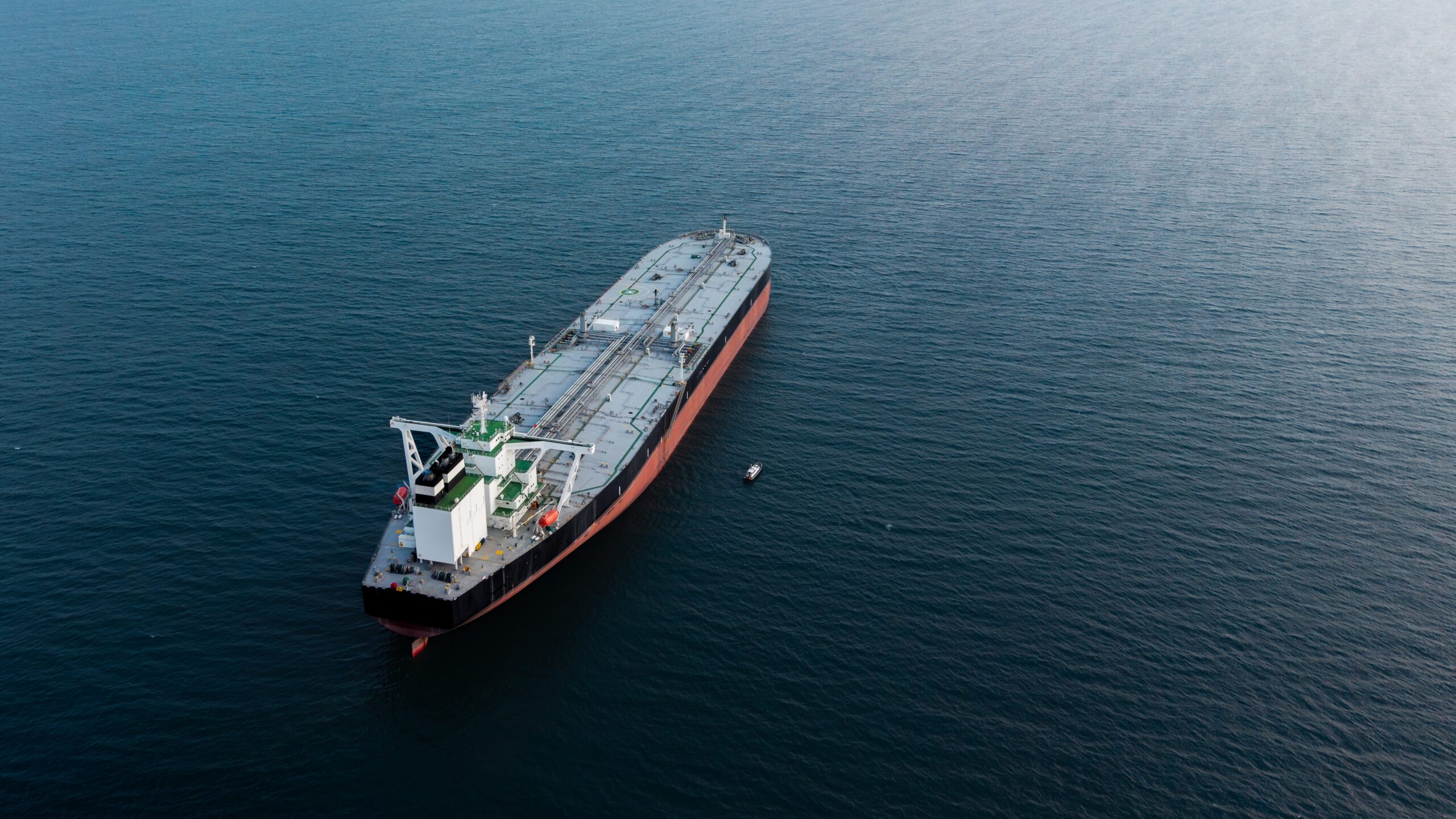 Foto: Clare Louise Jackson / Shutterstock