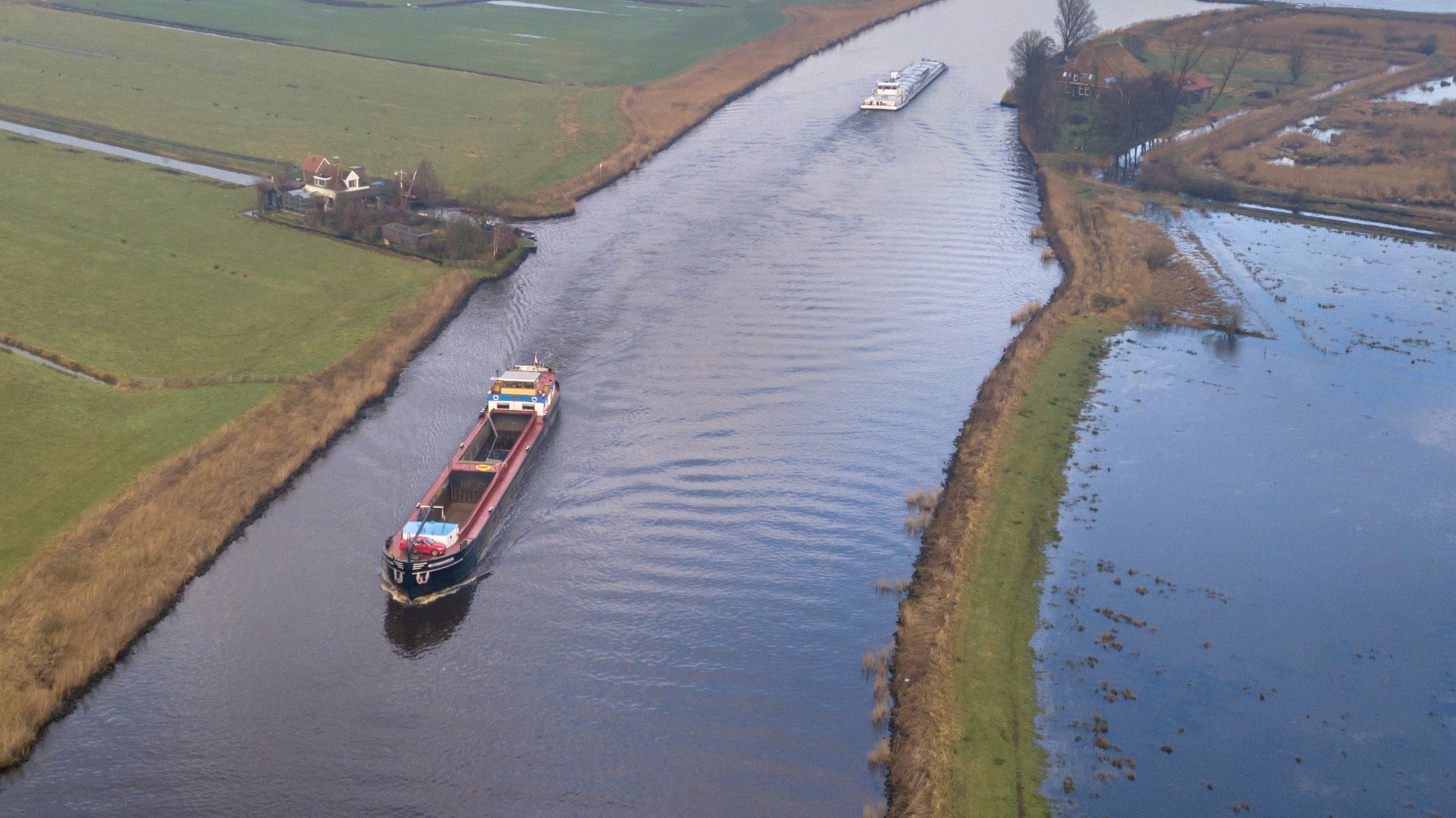 Foto: Rudmer Zwerver / Shutterstock