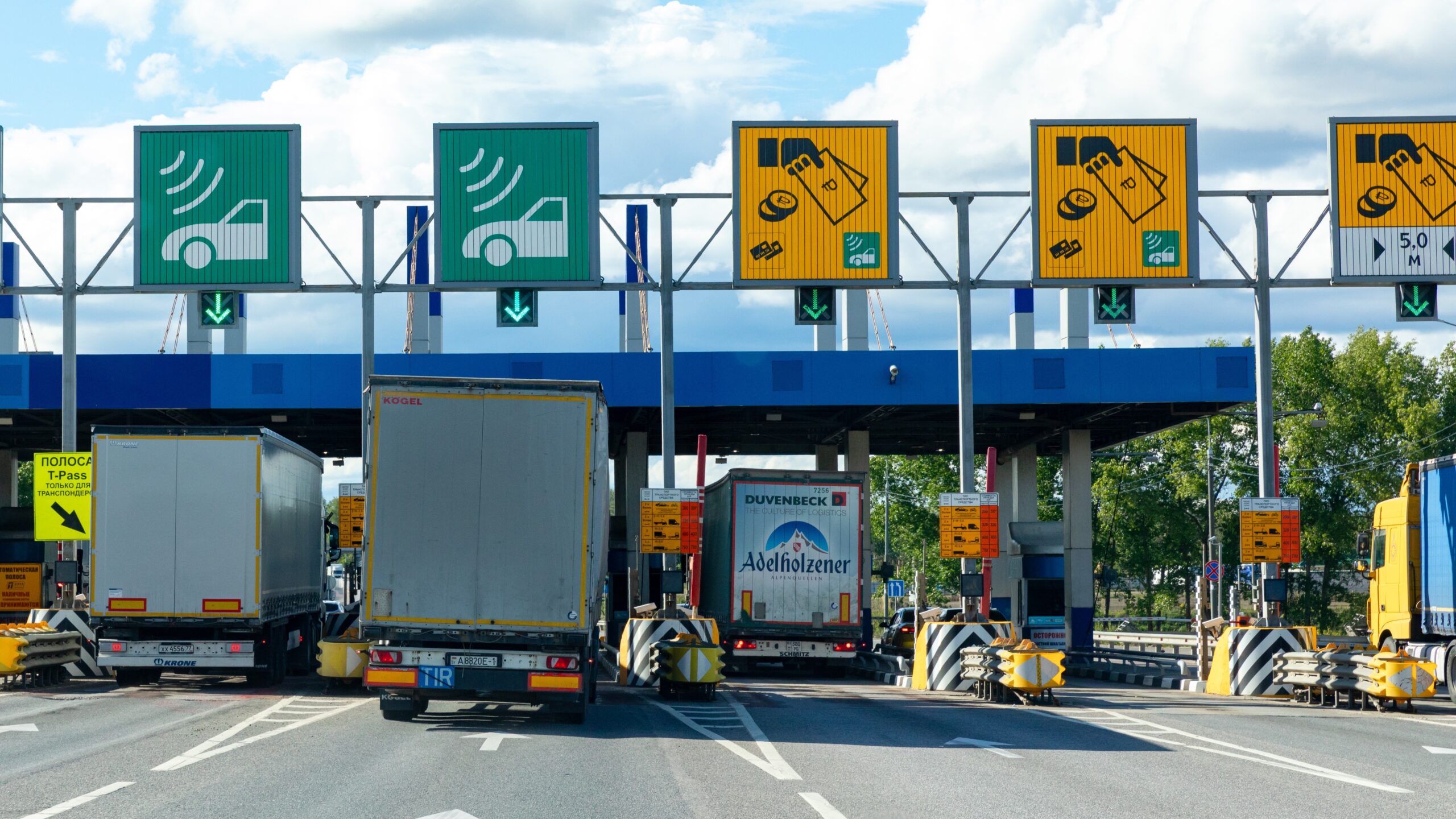 Foto: Irina Mikhailichenko / Shutterstock 