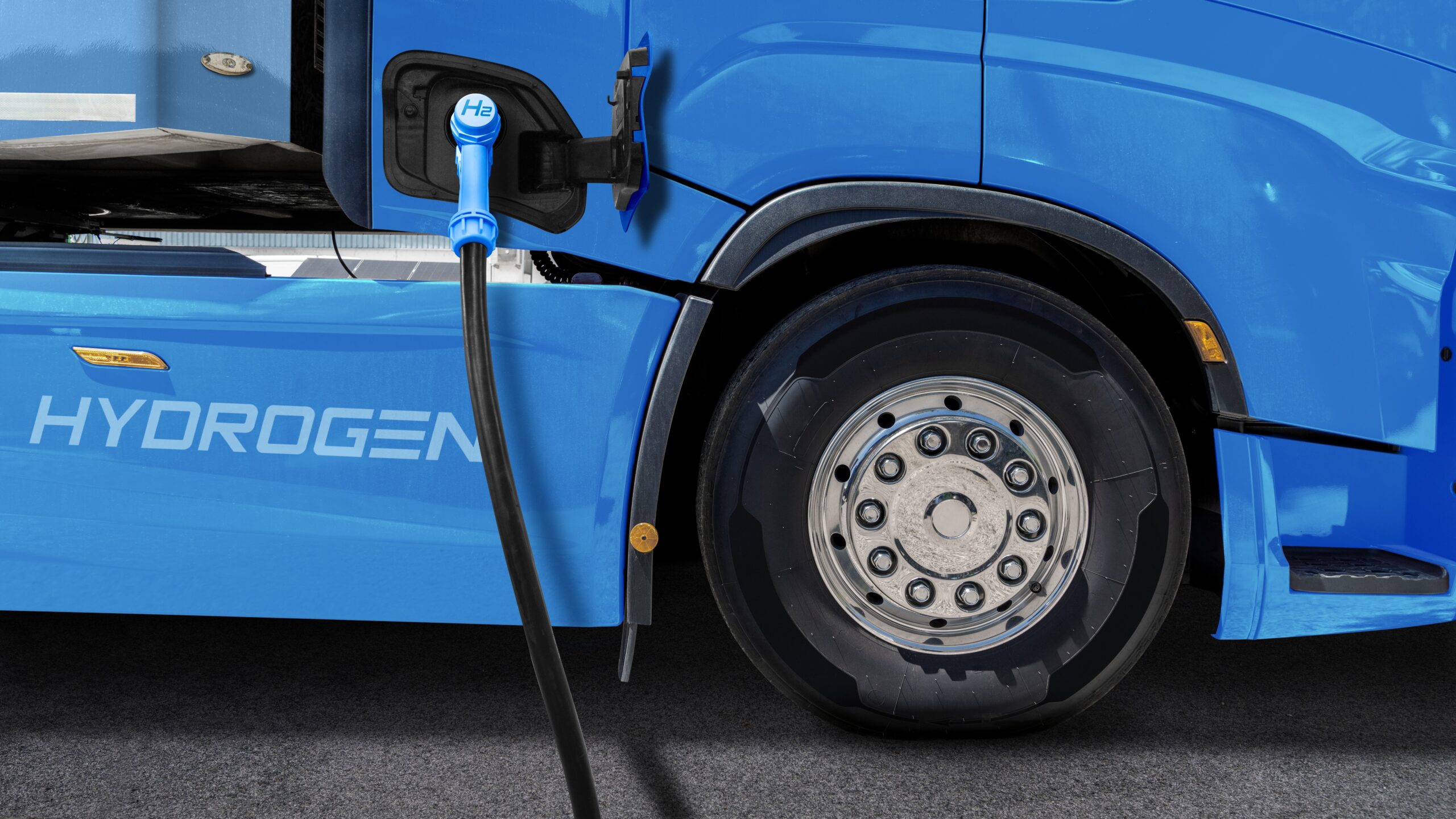 Foto: Scharfsinn / Shutterstock