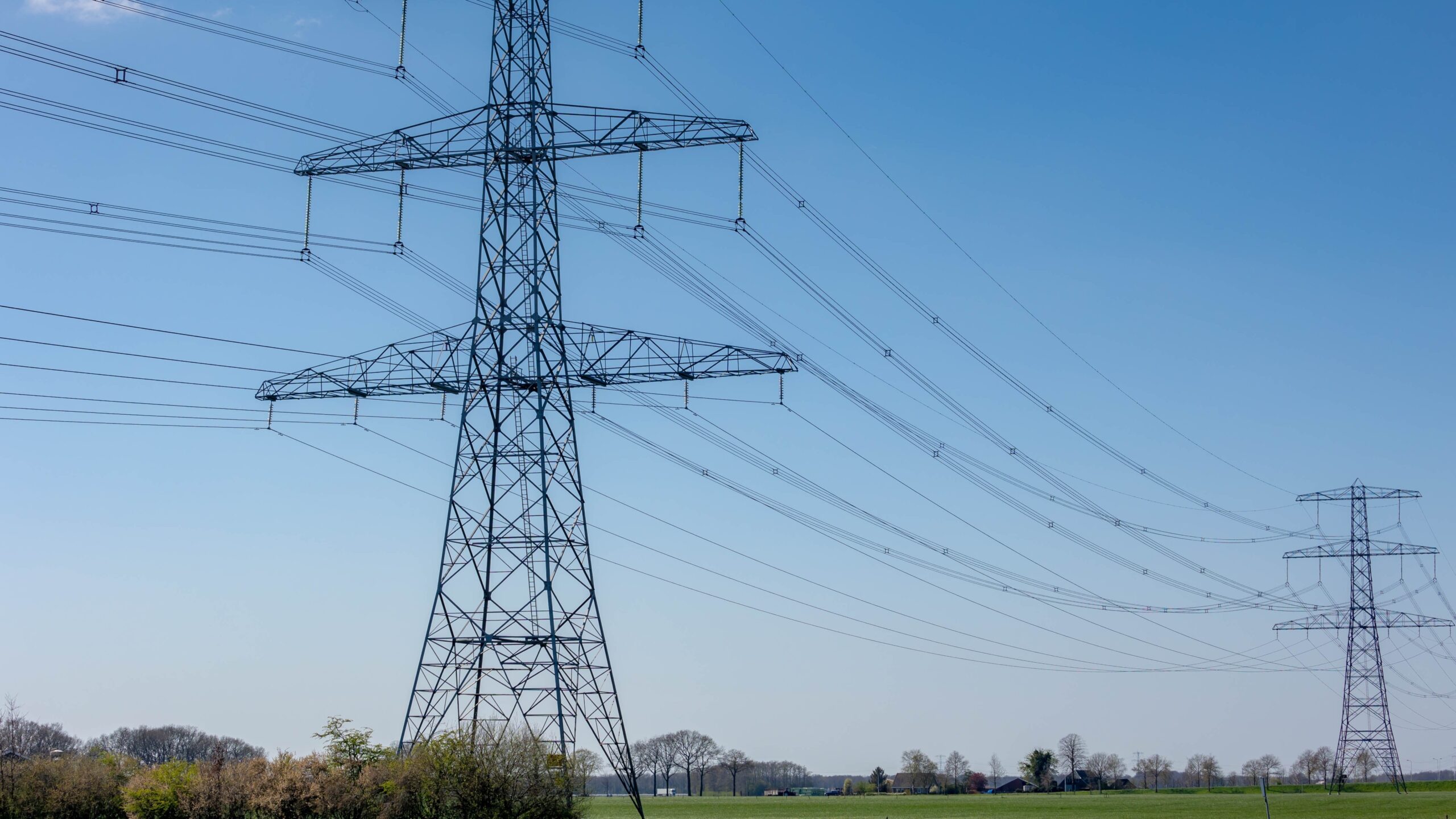 Foto: Wut_Moppie / Shutterstock