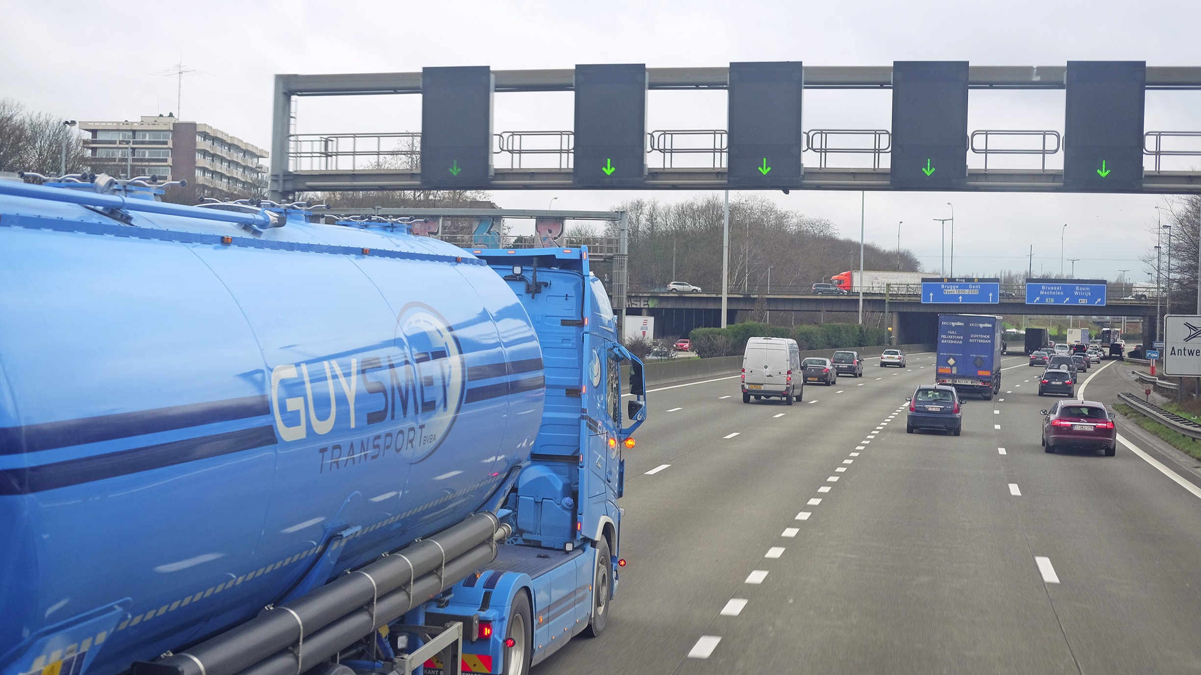 Foto: Vereshchagin Dmitry / Shutterstock