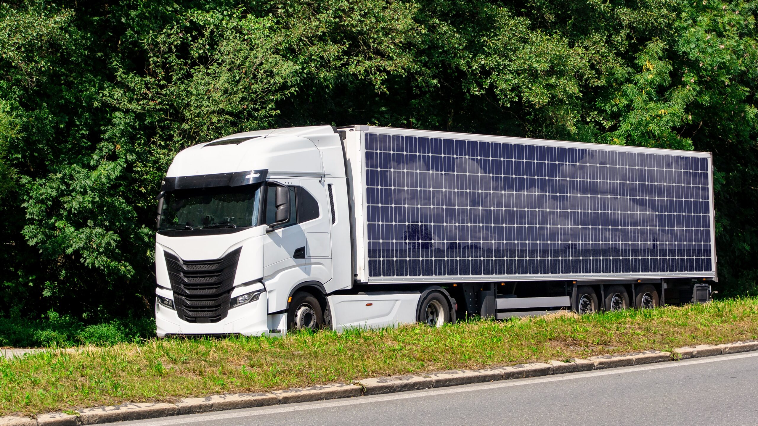 Foto: Mino Surkala / Shutterstock