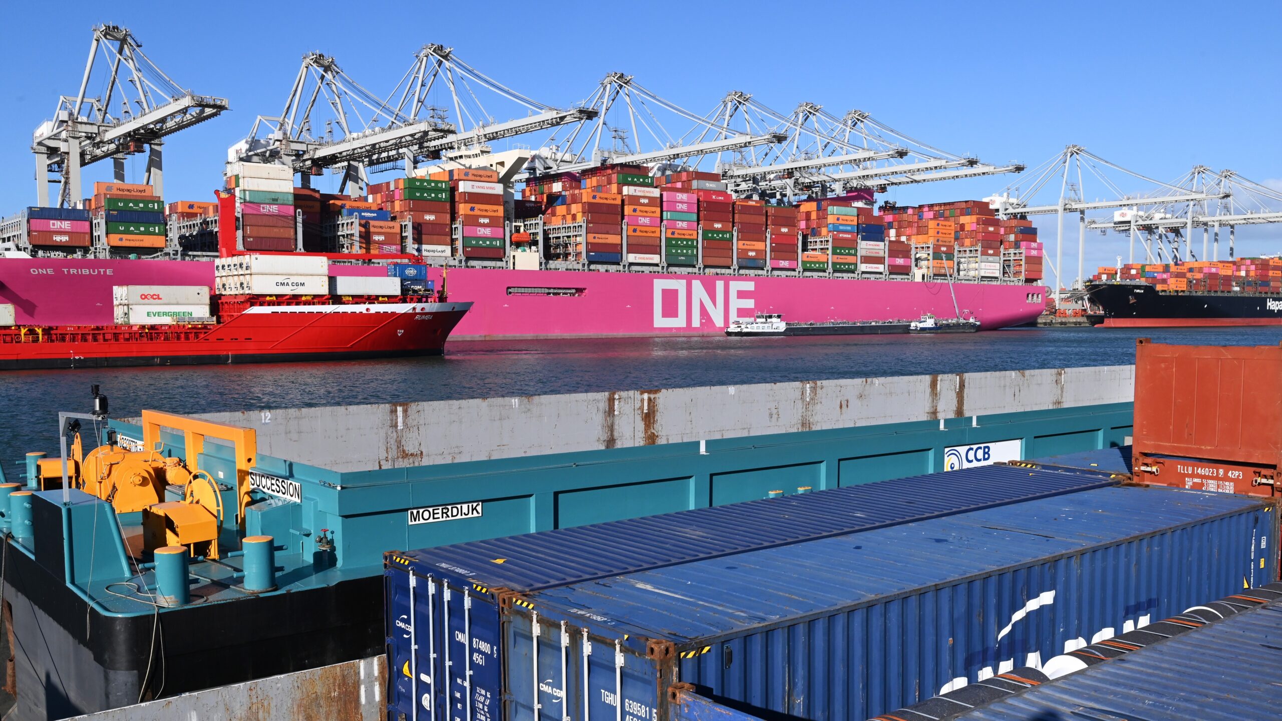 Foto: ANP / Hollandse hoogte / Peter Hilz