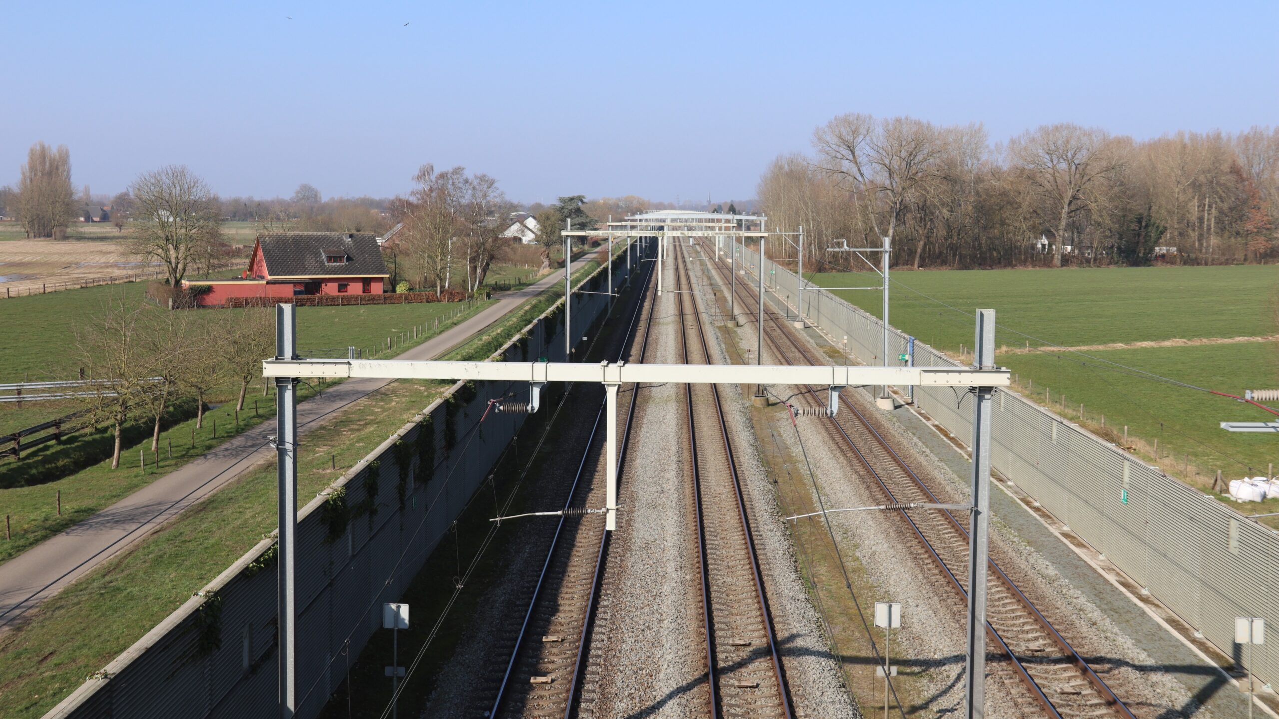 Foto: Rico van Manen / Shutterstock